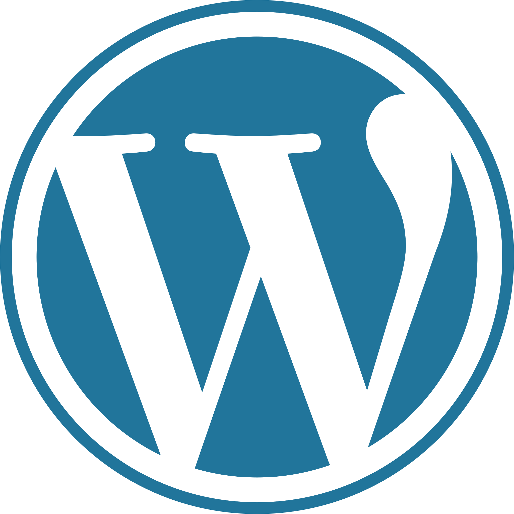WordPress : que choisir entre site vitrine ou blog ?